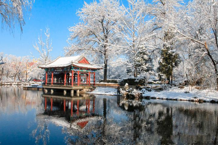 20250423-114 周年校庆｜精品无码久久久久久久久_国产精品一区二区三区四区五区_欧美亚洲国产激情一区二区_午夜精品久久久久久久久久久久_亚洲欧洲中文日韩久久AV乱码_91精品欧美一区二区三区_久久精品一区二区免费播放_日韩高清大片永久免费入口_久久国产欧美日韩精品免费_欧美一区二区三区久久综合_国产精品天天狠天天看离退休教职工书画作品展和摄影作品展开幕-段鸿杰-作品名称：《校园雪韵》作者：费润升.png